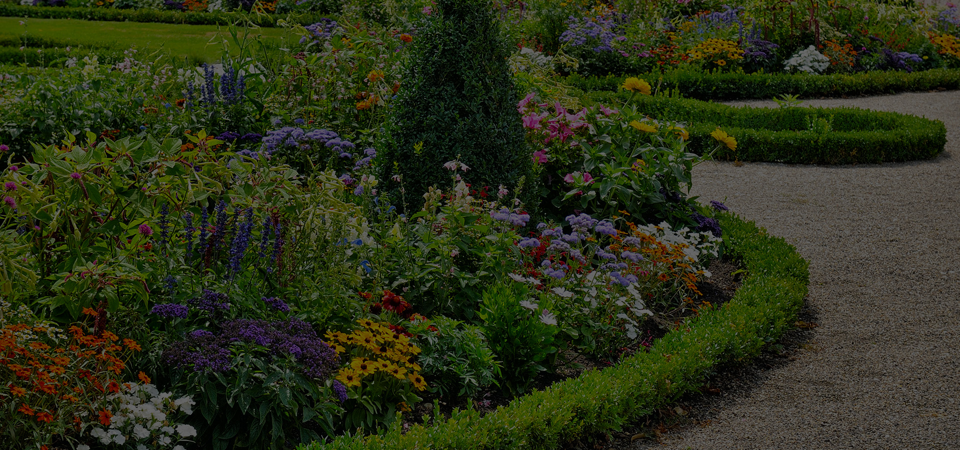 Les fleurs et les plantes ornementales